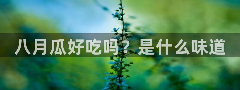 51吃瓜今日吃瓜入口:八月瓜好吃吗?是什么味道