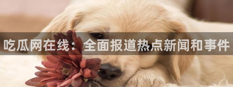 718.sⅹ 吃瓜:吃瓜网在线:全面报道热点新闻和事件