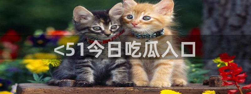 51吃瓜网51cgw:<51今日吃瓜入口