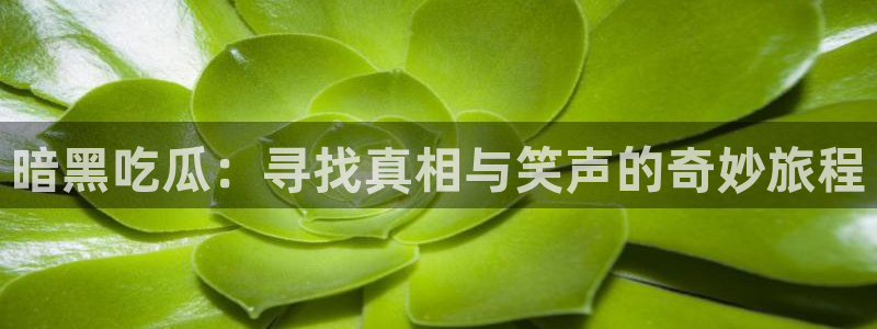 吃瓜网今日吃瓜 热门大瓜:暗黑吃瓜:寻找真相与笑声的奇妙旅程